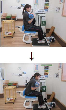 トーソ